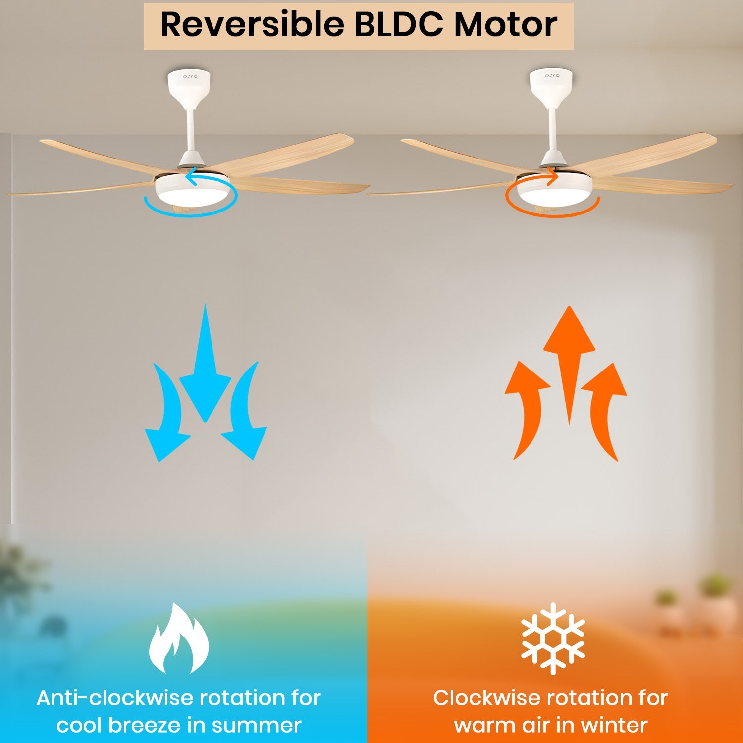 Simple Oltao Designer Fans