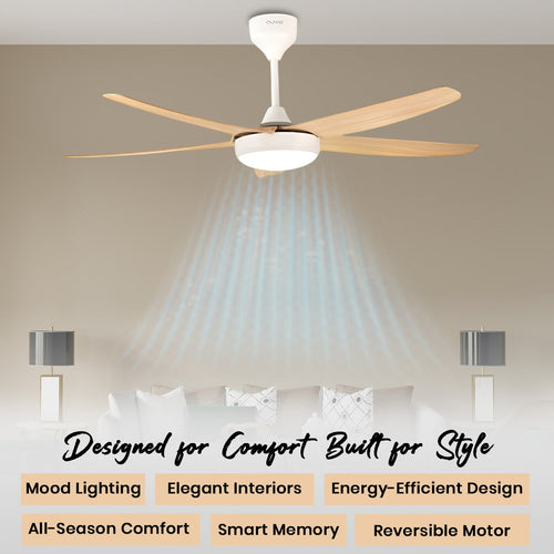 Simple Oltao Designer Fans