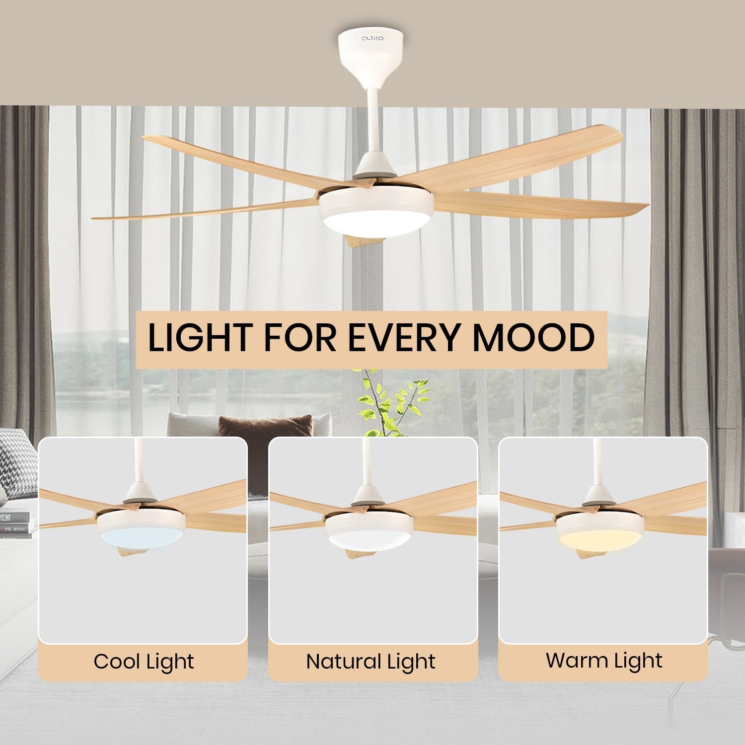 Simple Oltao Designer Fans
