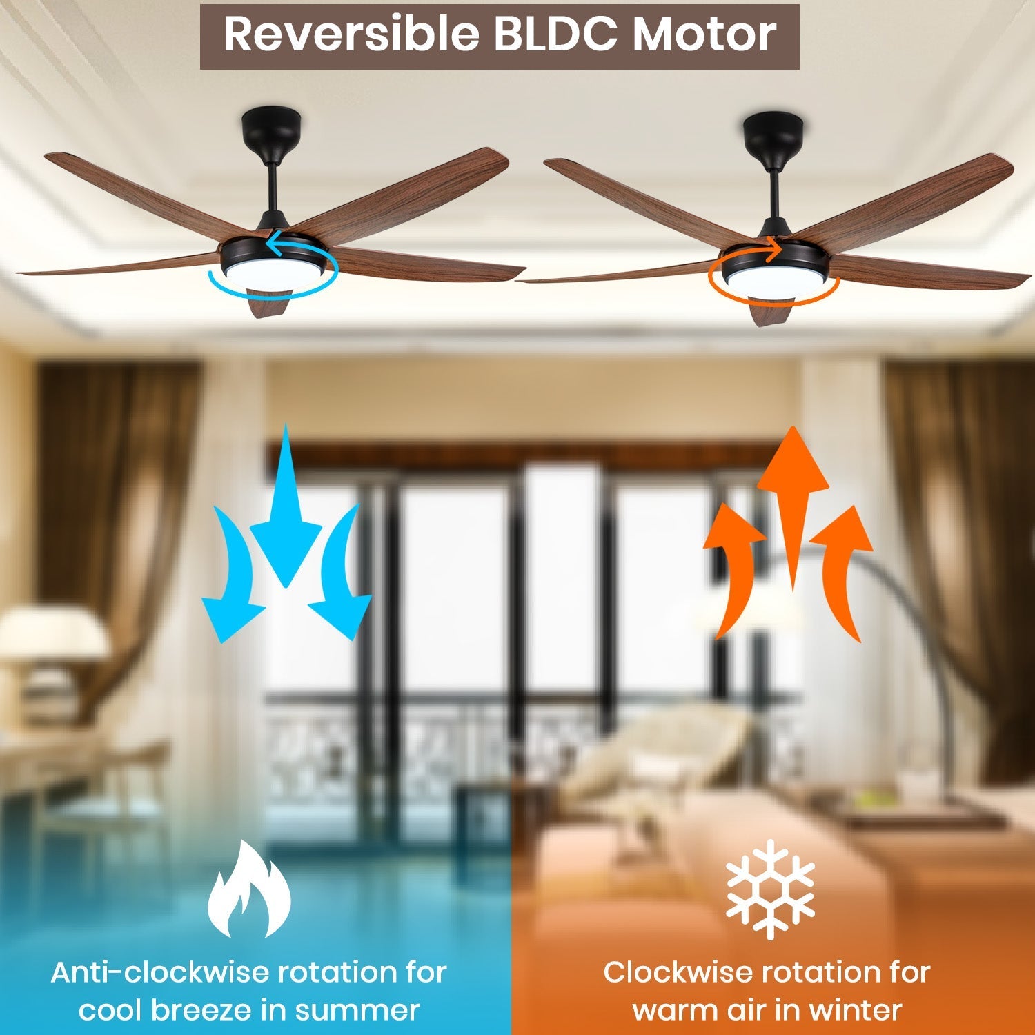 Simple Oltao Designer Fans