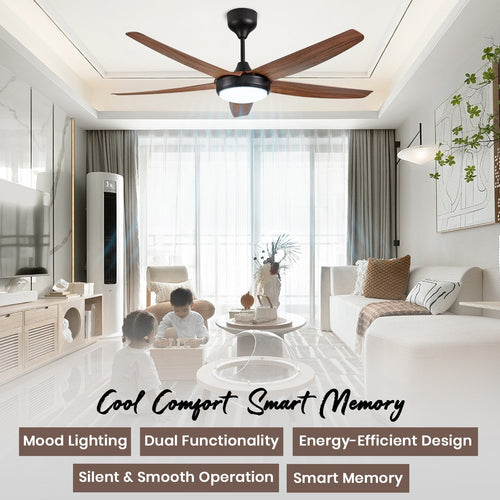 Simple Oltao Designer Fans
