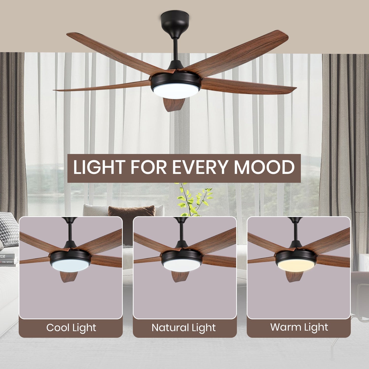 Simple Oltao Designer Fans